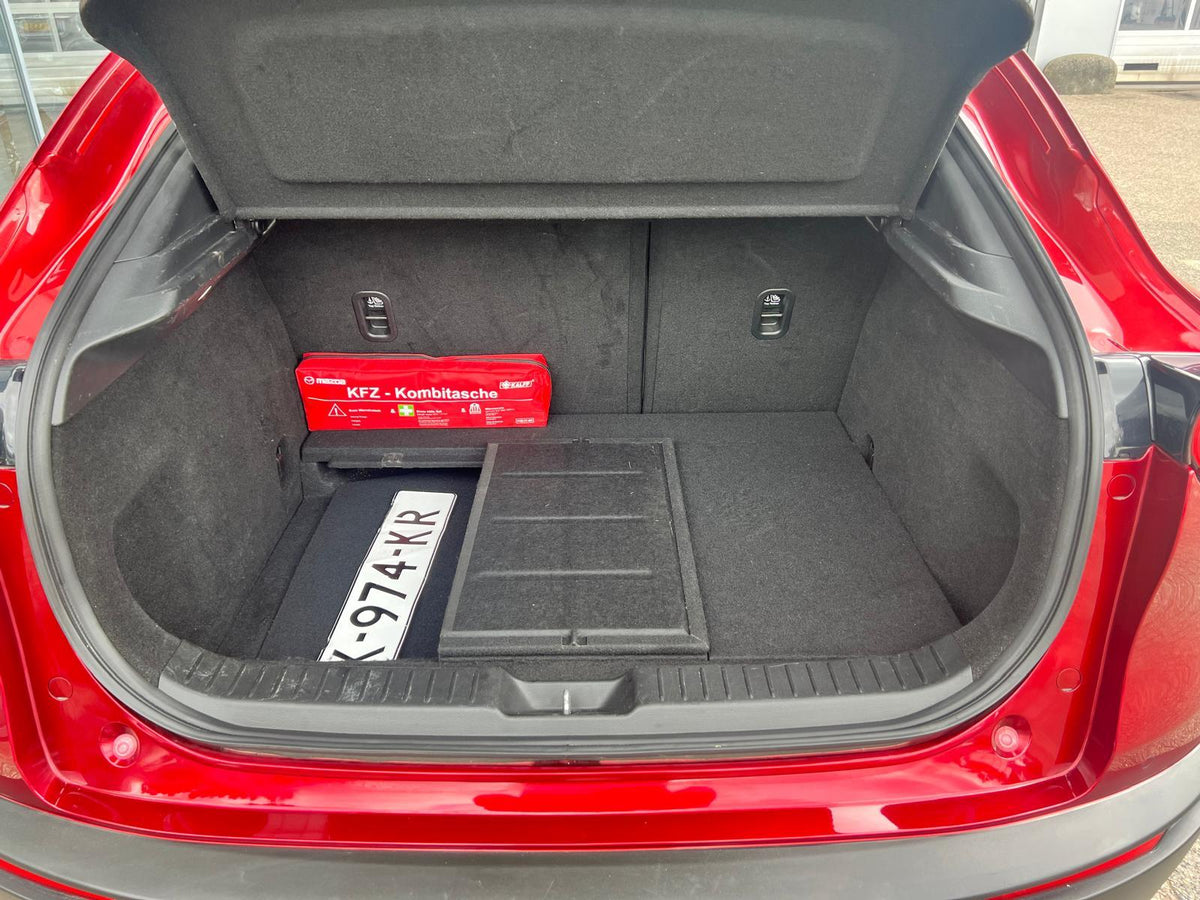 Mazda CX-30 2.0 e-SkyActiv-X M Hybrid Luxury — foto 11