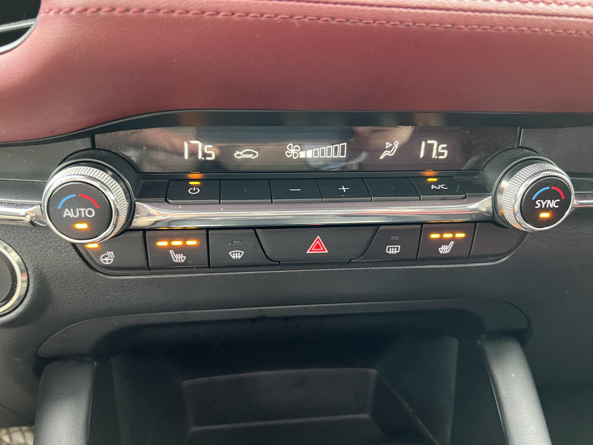 Mazda 3 2.0 e-SkyActiv-X M Hybrid 186 Luxury I-ACTIVE SENSE PACK — foto 28