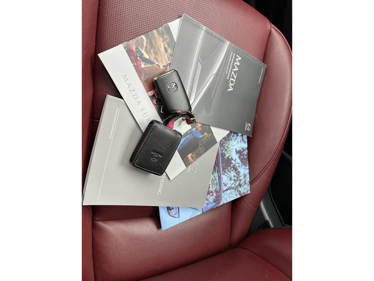 Mazda 3 2.0 e-SkyActiv-X M Hybrid 186 Luxury I-ACTIVE SENSE PACK — foto 30