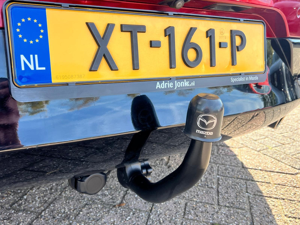Mazda 3 2.0 e-SkyActiv-G M Hybrid 122 Luxury — foto 11