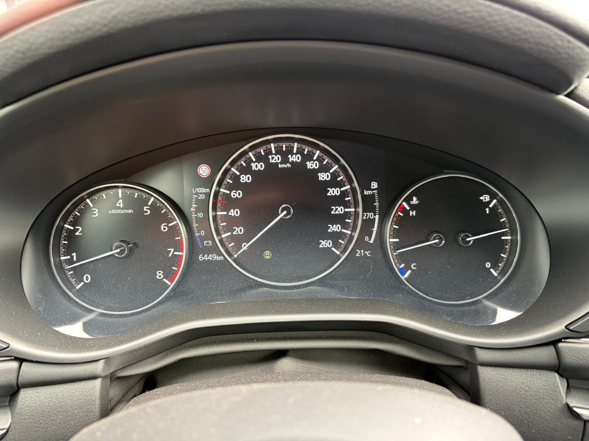 Mazda 3 2.5 e-SkyActiv-G M Hybrid 140 Homura — foto 21