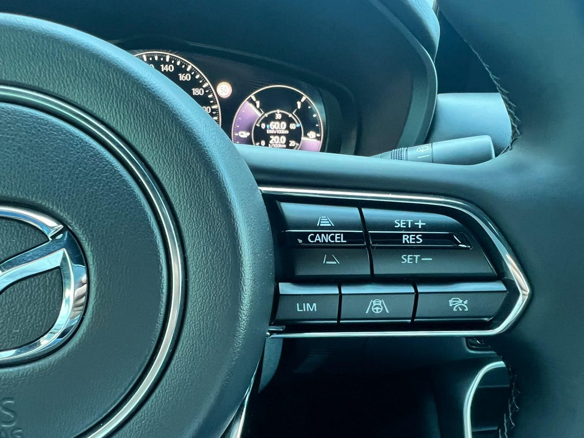 Mazda CX-60 2.5 e-SkyActiv PHEV Homura Plus — foto 33
