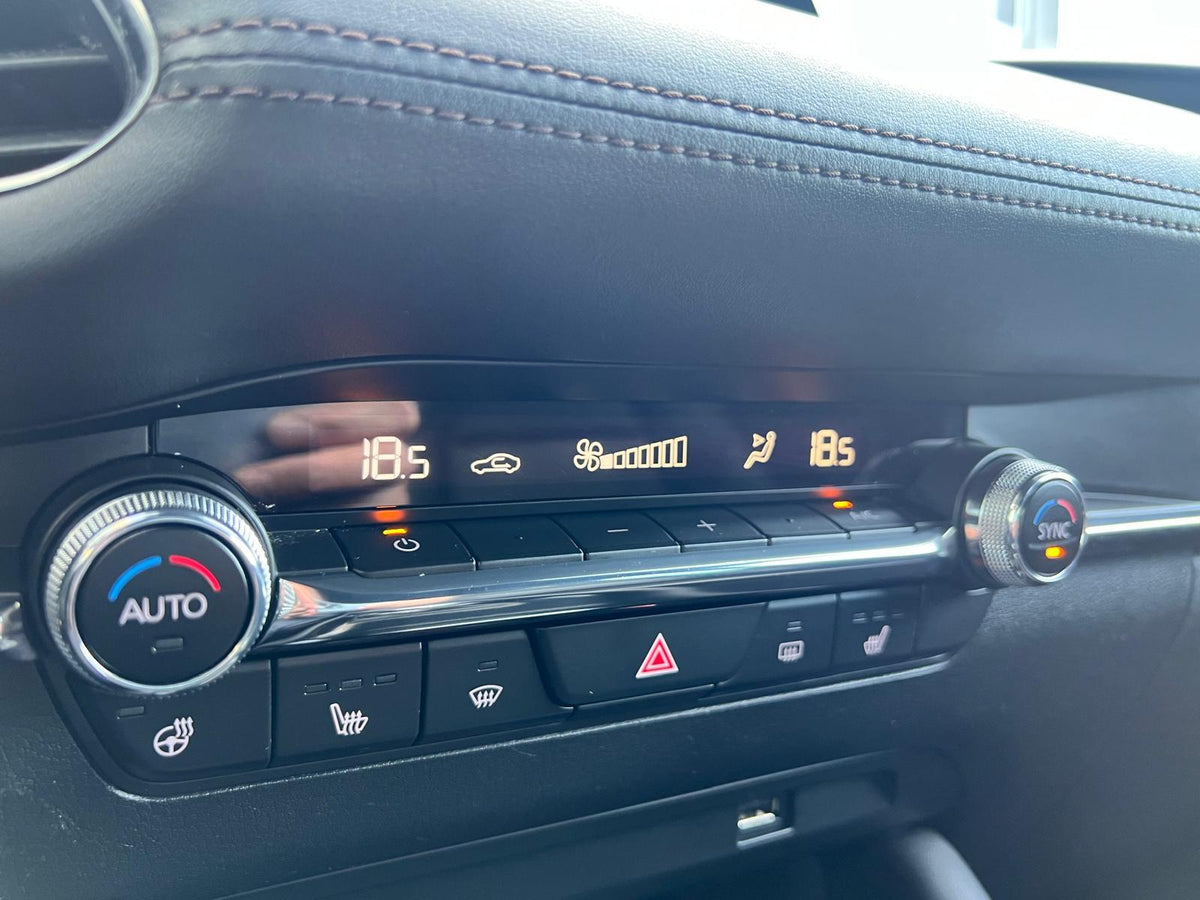 Mazda 3 2.0 e-SkyActiv-G M Hybrid 122 Luxury — foto 31